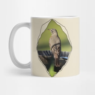 Robin on Birdbath In Tear Mug